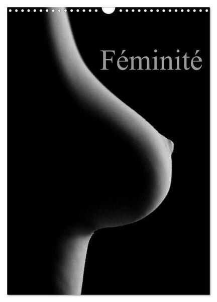 Produktbild: F&eacute;minit&eacute; (Calendrier mural 2027 DIN A3 horizontal), CALVENDO calendrier mensuel