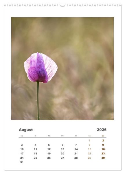 Produktbild: Minimalistisch, Gr&auml;ser, Bl&uuml;ten, Bl&auml;tter und Zweige im Fokus (Wandkalender 2026 DIN A2 hoch), CALVENDO Monatskalender