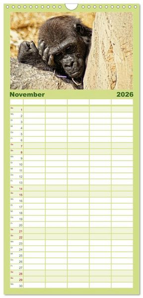 Produktbild: Familienplaner 2026 - Gorillas - Die sanften Wilden mit 5 Spalten (Wandkalender, 21 x 45 cm) CALVENDO