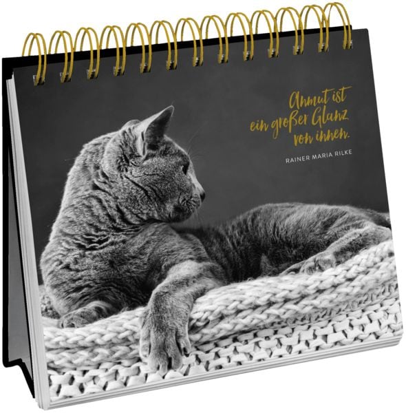 Produktbild: Inspirierende Worte f&uuml;r Katzenfreunde