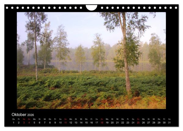 Produktbild: Schweden 2026 (Wandkalender 2026 DIN A4 quer), CALVENDO Monatskalender