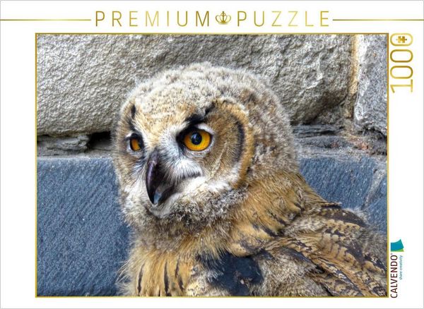 CALVENDO Puzzle Junguhu - Kassel-Lutherturm | 1000 Teile Lege-Größe 64x48cm Foto-Puzzle für glückliche Stunden, Sonstige von , Calvendo Puzzle,
