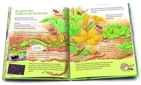 Produktbild: Geh hinaus und entdecke &hellip; Die Tiere in deiner Umgebung