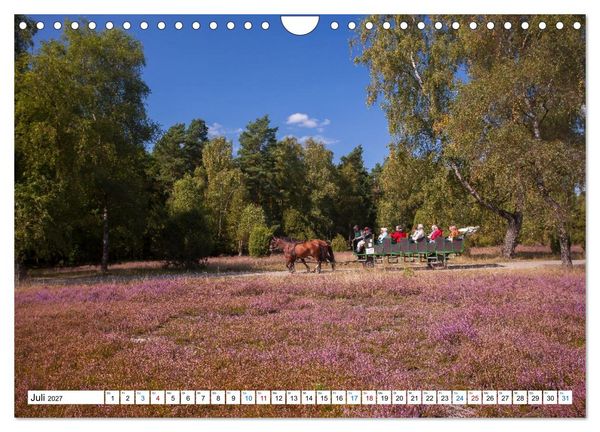 Produktbild: L&uuml;neburger Heide &ndash; Im Wandel der Jahreszeiten (Wandkalender 2027 DIN A4 quer), CALVENDO Monatskalender