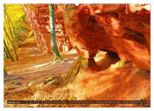 Produktbild: Der Altschlossfelsen - Gr&ouml;&szlig;te Felsformation der Pfalz im herbstlichen Farbspiel (hochwertiger Premium Wandkalender 2026 DIN A2 quer), Kunstdruck in Hochglanz