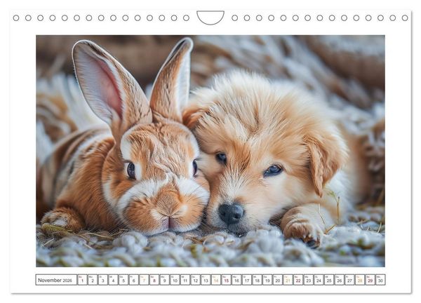 Produktbild: Lustige Hasengeschichten (Wandkalender 2026 DIN A4 quer), CALVENDO Monatskalender