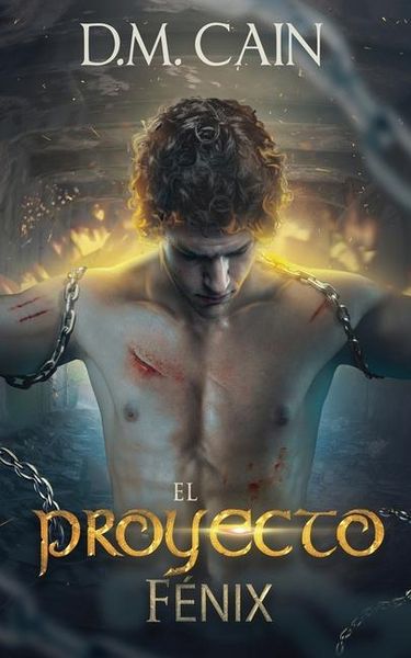 Produktbild: El Proyecto F&eacute;nix