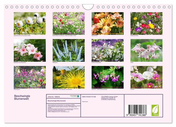 Produktbild: Beschwingte Blumenwelt (Wandkalender 2026 DIN A4 quer), CALVENDO Monatskalender