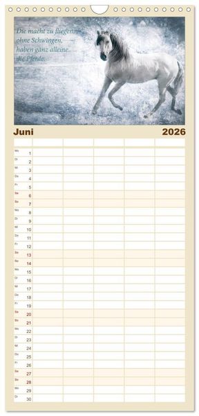 Produktbild: Familienplaner 2026 - Pferde zum Tr&auml;umen mit 5 Spalten (Wandkalender, 21 x 45 cm) CALVENDO