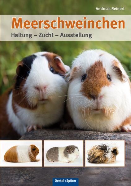 Produktbild: Meerschweinchen