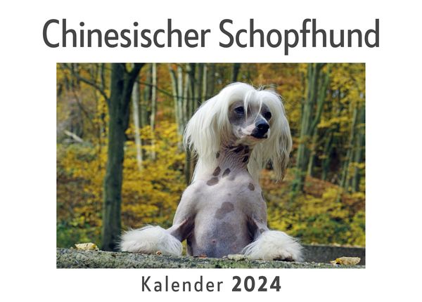 Produktbild: Chinesischer Schopfhund (Wandkalender 2024, Kalender DIN A4 quer, Monatskalender im Querformat mit Kalendarium, Das perfekte Geschenk)