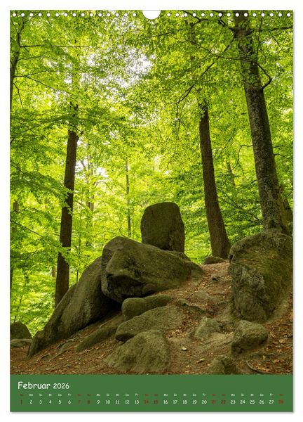 Produktbild: Ich bin dann mal im Wald (Wandkalender 2026 DIN A3 hoch), CALVENDO Monatskalender