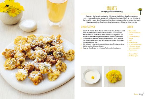 Produktbild: L&ouml;wenzahn