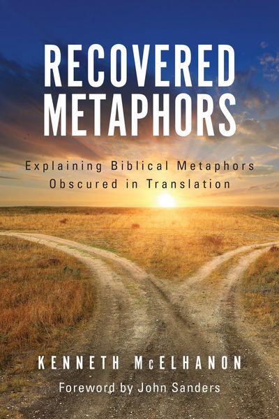 Produktbild: Recovered Metaphors