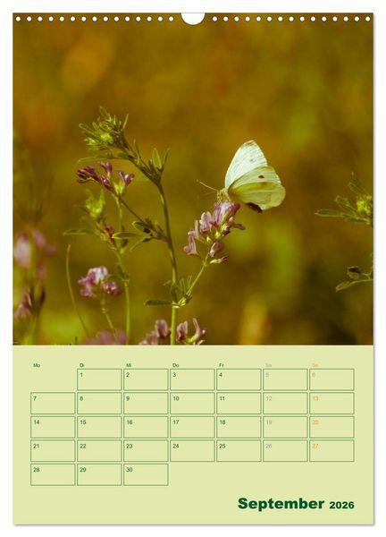 Produktbild: Wald- und Wiesenkalender 2026 Planer (Wandkalender 2026 DIN A3 hoch), CALVENDO Monatskalender