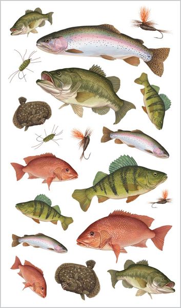 Produktbild: The Perfect Catch of Tattoo Fish