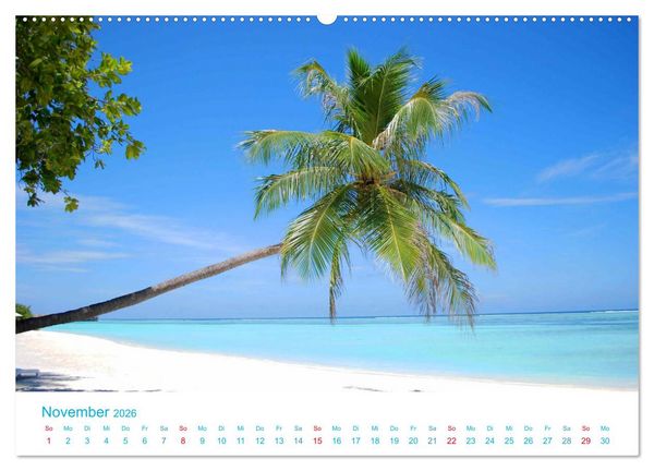 Produktbild: Unter Palmen 2026. Impressionen von den sch&ouml;nsten Str&auml;nden der Welt (Wandkalender 2026 DIN A2 quer), CALVENDO Monatskalender
