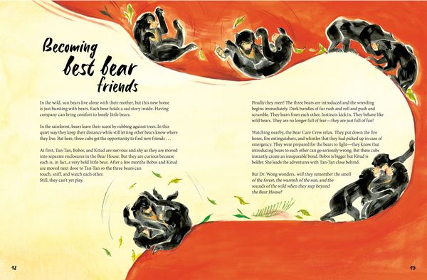 Produktbild: Bear Belongs