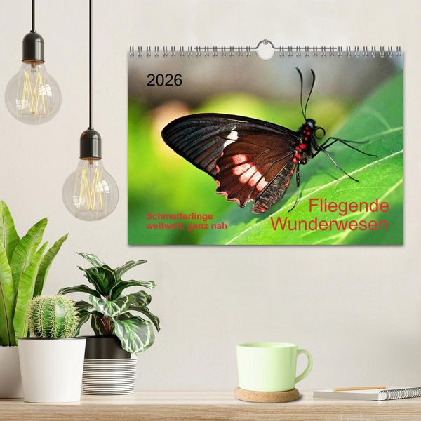 Produktbild: Fliegende Wunderwesen. Schmetterlinge weltweit, ganz nah (Wandkalender 2026 DIN A4 quer), CALVENDO Monatskalender