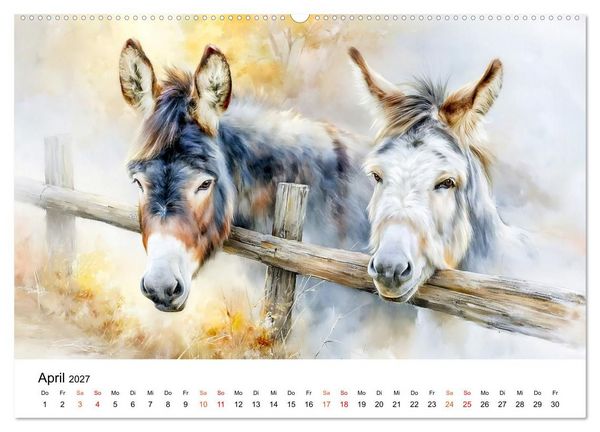 Produktbild: Esel - Wenn Ruhe ein Gesicht h&auml;tte (hochwertiger Premium Wandkalender 2027 DIN A2 quer), Kunstdruck in Hochglanz