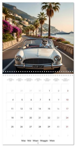 Produktbild: Le duc gris en voyage (Calendrier mural carr&eacute; 2026 30x30 cm) Calendrier double avec une page pour vos prises de notes