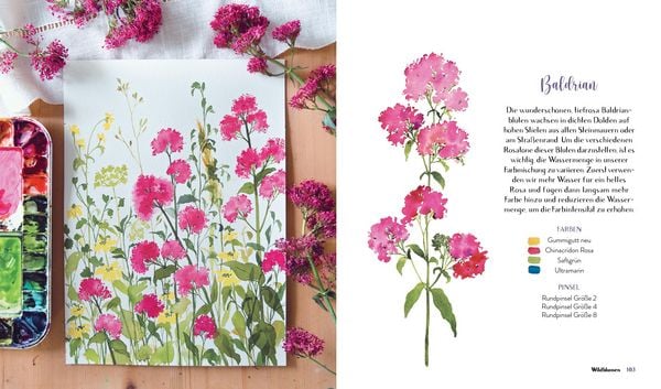 Produktbild: Wildflower Watercolor &ndash; Blumen-Aquarelle malen