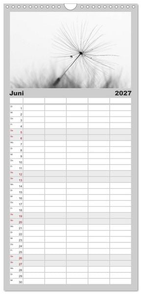 Produktbild: Familienplaner 2027 - Pusteblume - Impressionen in schwarzwei&szlig; mit 5 Spalten (Wandkalender, 21 x 45 cm) CALVENDO