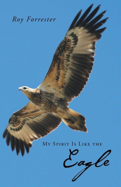 Produktbild: My Spirit Is Like the Eagle