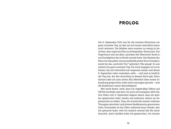 Produktbild: Pflegers Struggle