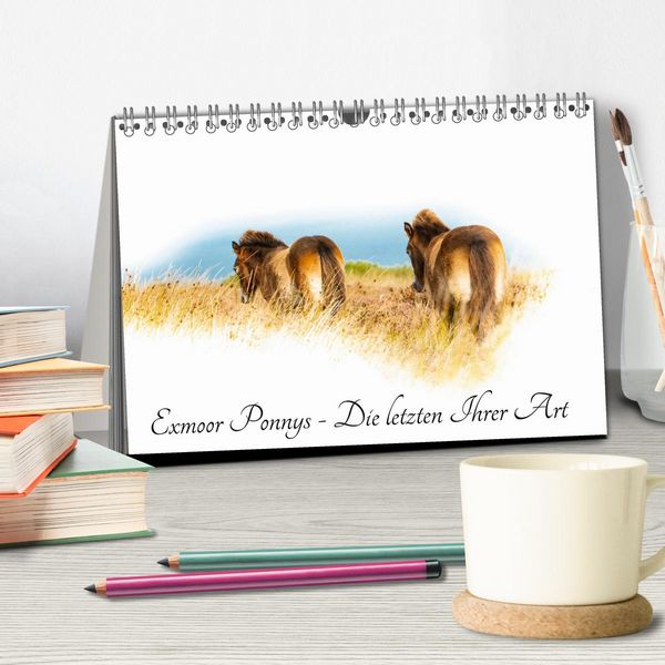 Produktbild: Exmoor Ponnys - Die letzten Ihrer Art (Tischkalender 2026 DIN A5 quer), CALVENDO Monatskalender