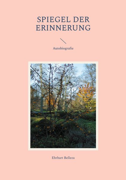 Produktbild: Spiegel der Erinnerung
