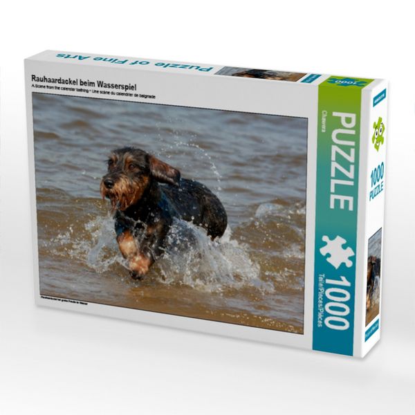 CALVENDO Puzzle Rauhaardackel beim Wasserspiel | 1000 Teile Lege-Größe 64x48cm Foto-Puzzle für glückliche Stunden