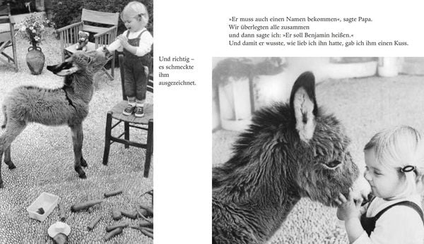 Produktbild: Mein Esel Benjamin (Mini-Ausgabe)