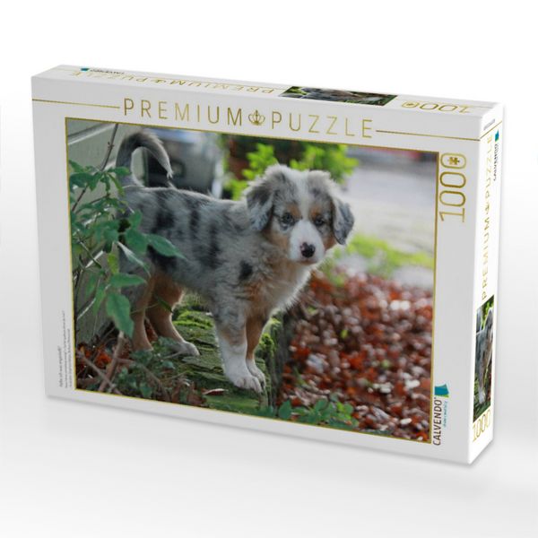 Produktbild: CALVENDO Puzzle Habe ich was angestellt? | 1000 Teile Lege-Gr&ouml;&szlig;e 64x48cm Foto-Puzzle f&uuml;r gl&uuml;ckliche Stunden