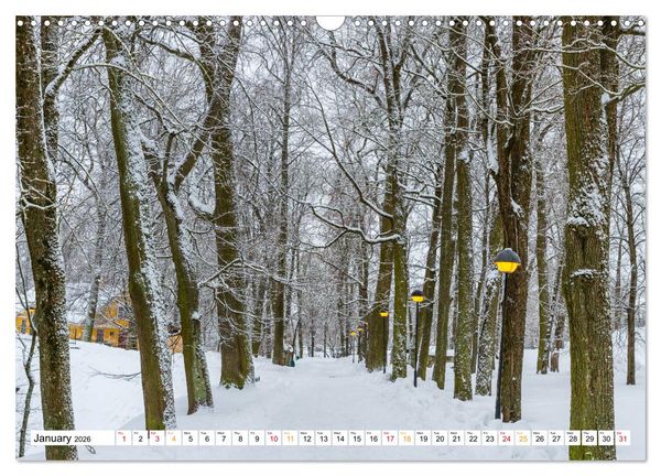Produktbild: Four seasons in Estonia (Wall Calendar 2026 DIN A3 landscape), CALVENDO 12 Month Wall Calendar