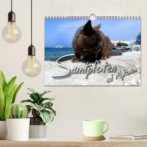 Produktbild: SAMTPFOTEN auf Mykonos (Wandkalender 2026 DIN A4 quer), CALVENDO Monatskalender