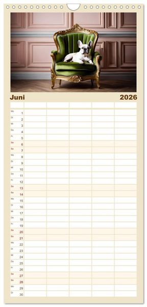 Produktbild: Familienplaner 2026 - Kleine K&ouml;nige - Franz&ouml;sische Bulldoggen mit 5 Spalten (Wandkalender, 21 x 45 cm) CALVENDO