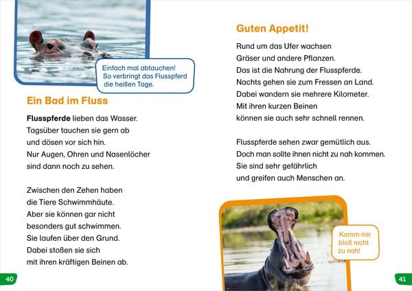 Produktbild: WAS IST WAS Erstes Lesen easy! Tiere in Afrika