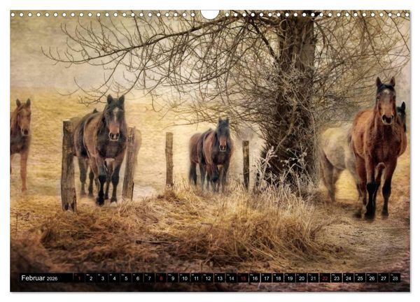 Produktbild: Western und Pferde (Wandkalender 2026 DIN A3 quer), CALVENDO Monatskalender