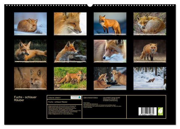 Produktbild: Fuchs - schlauer R&auml;uber (hochwertiger Premium Wandkalender 2026 DIN A2 quer), Kunstdruck in Hochglanz