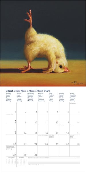 Produktbild: Yoga Chicks 2027
