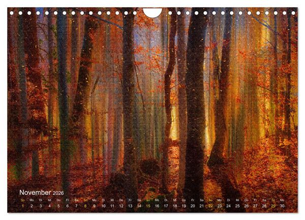 Produktbild: Traum Momente (Wandkalender 2026 DIN A4 quer), CALVENDO Monatskalender
