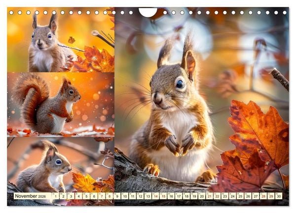 Produktbild: Eichh&ouml;rnchen - tollk&uuml;hne Kletterer (Wandkalender 2026 DIN A4 quer), CALVENDO Monatskalender
