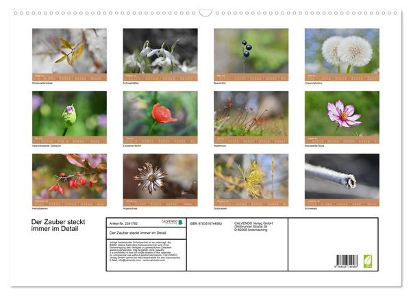 Produktbild: Der Zauber steckt immer im Detail (Wandkalender 2026 DIN A2 quer), CALVENDO Monatskalender