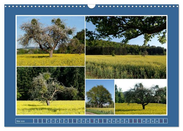 Produktbild: Collagen aus Eifel und Umland 2026 (Wandkalender 2026 DIN A3 quer), CALVENDO Monatskalender