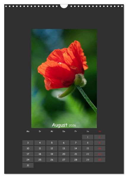 Produktbild: Mohn (Wandkalender 2026 DIN A3 hoch), CALVENDO Monatskalender