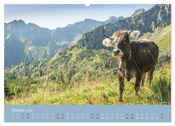 Produktbild: Heimweh Allg&auml;u 2026 (hochwertiger Premium Wandkalender 2026 DIN A2 quer), Kunstdruck in Hochglanz