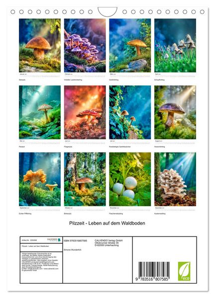 Produktbild: Pilzzeit - Leben auf dem Waldboden (Wandkalender 2027 DIN A4 hoch), CALVENDO Monatskalender