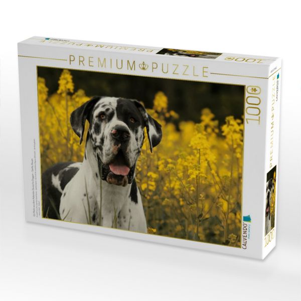 Produktbild: CALVENDO Puzzle Ein Motiv aus dem Kalender Deutsche Doggen - Sanfte Riesen | 1000 Teile Lege-Gr&ouml;&szlig;e 64x48cm Foto-Puzzle f&uuml;r gl&uuml;ckliche Stunden