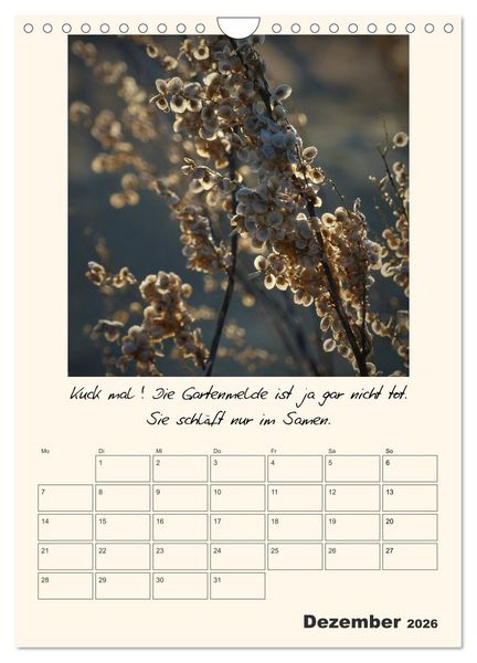 Produktbild: Gartengeschichten (Wandkalender 2026 DIN A4 hoch), CALVENDO Monatskalender